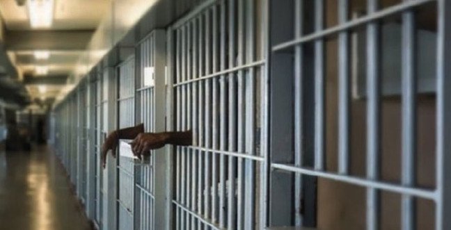 19-11/15/aff-1573806788