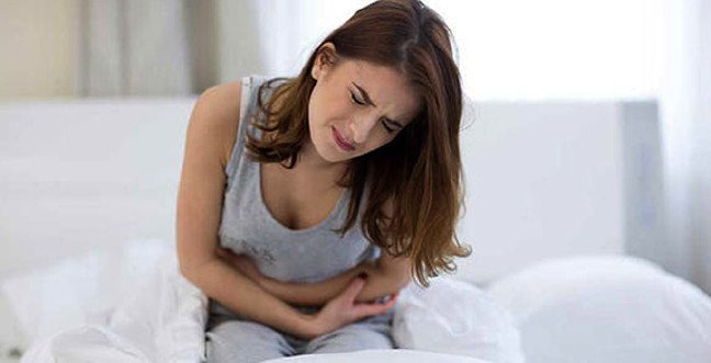 19-11/15/karin-agrisijpgg