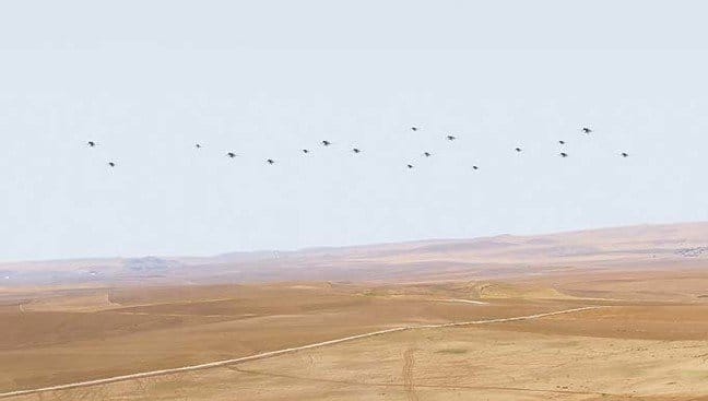 19-11/16/20191116_2_39348542_49510600