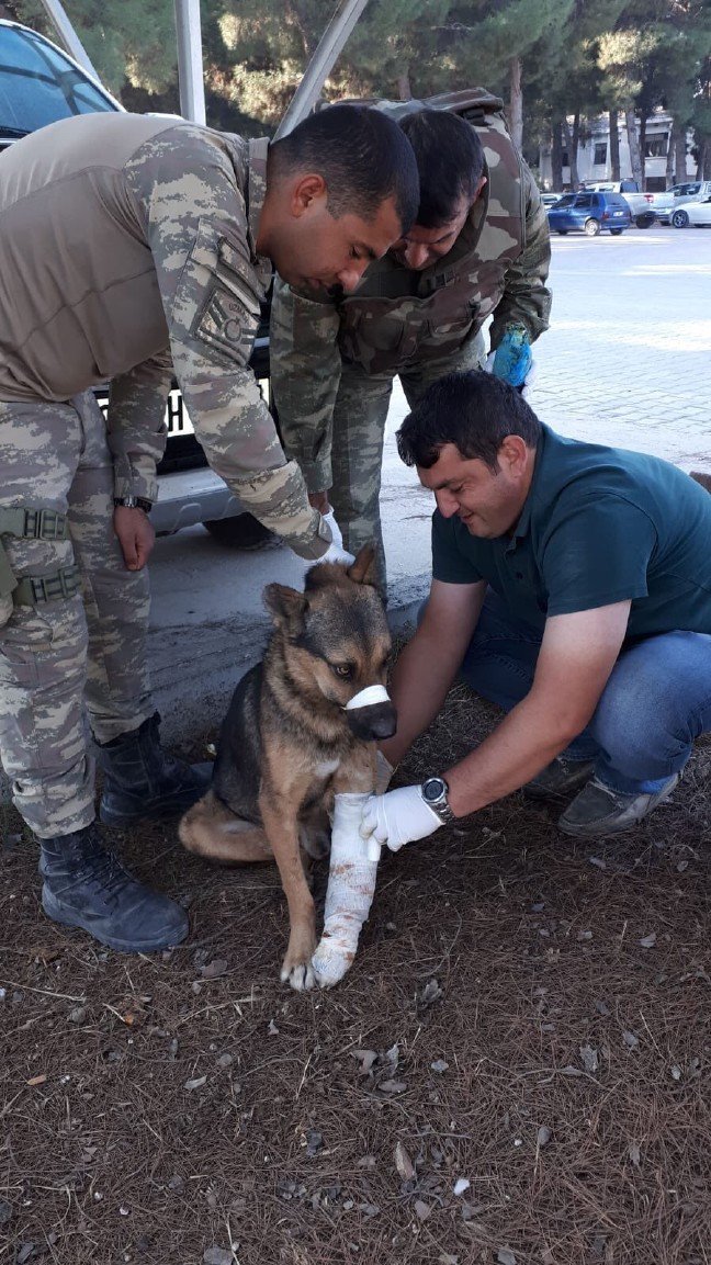 19-11/16/ejfkguywwaes5_c