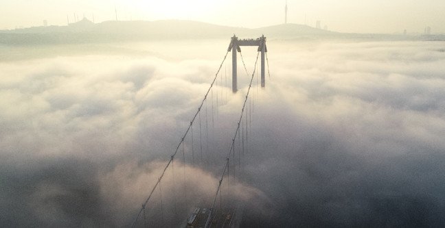 19-11/18/c-1574060982