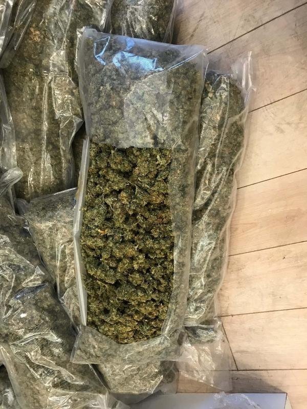 19-11/20/4da11472396cde41530b814355c392d5-1574242118