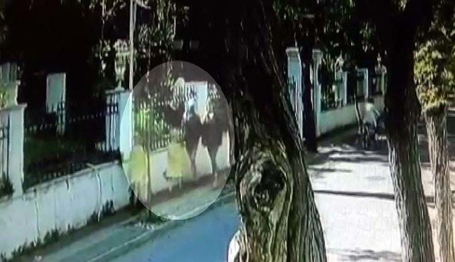 19-11/23/aw862757_01