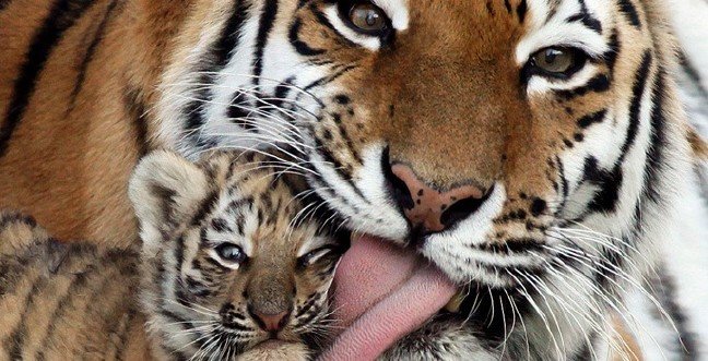 19-11/26/c157d868-2c4b-482a-9ff7-f6e81af021cc