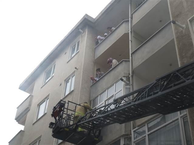 19-11/27/5dde7c23d3806c1eb00b8a8f