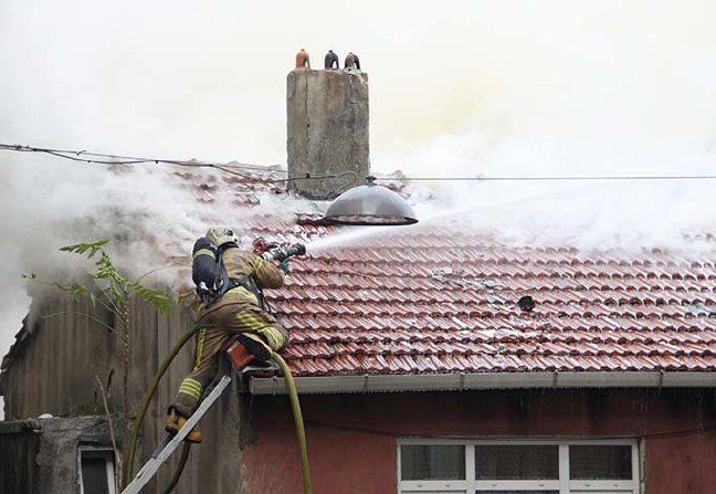 19-11/28/aw867847_01