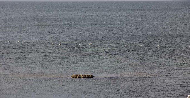 19-11/30/ana-manset-2-1575111130