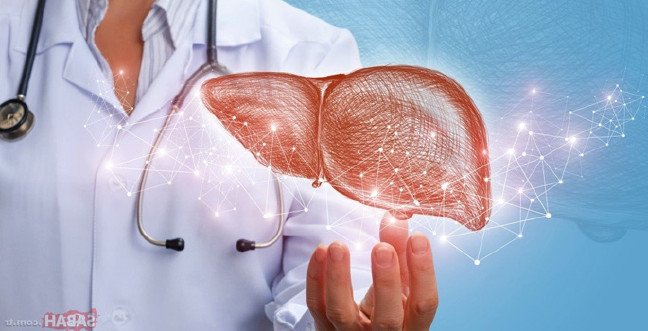 19-12/02/karacigerjpgg