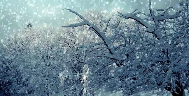 19-12/07/zemherijpgg