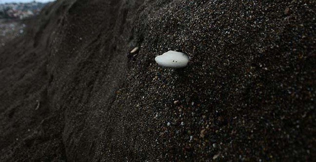 19-12/08/ana-manset-2-1575811658