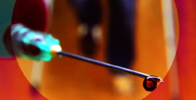 19-12/09/pct-rengijpgg