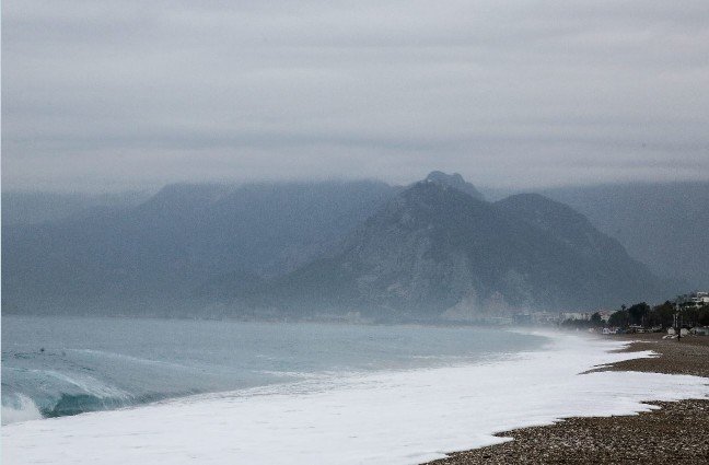 19-12/11/2-1576058241