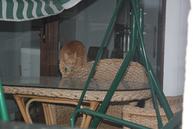 19-12/14/ocsmu_1576307269_0326