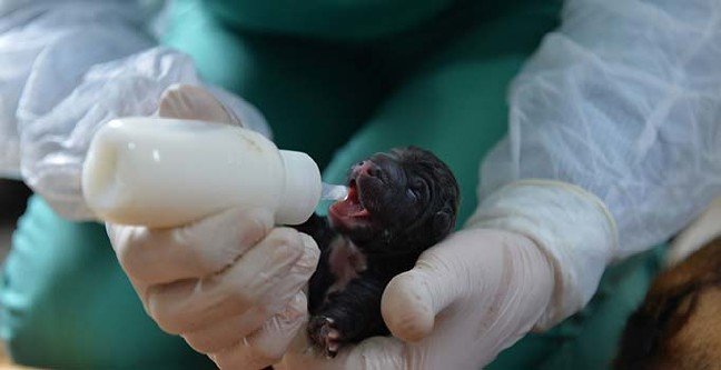 19-12/15/ana-manset-2-1576400840