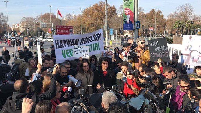 19-12/19/20191219_2_39923167_50498042