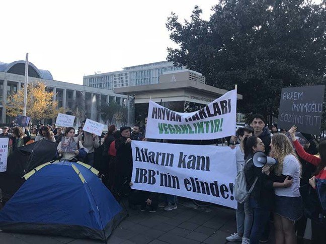 19-12/19/20191219_2_39923167_50498045