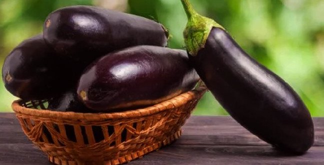 19-12/19/patlicanjpgg