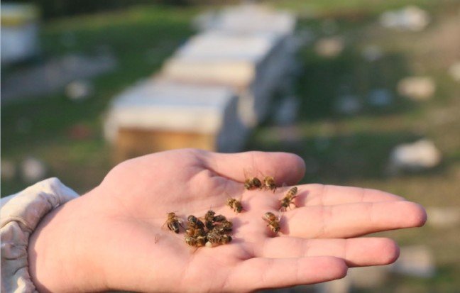 19-12/20/1-1576825146