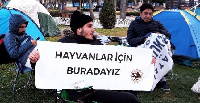 19-12/20/ana-manset-2-1576842941