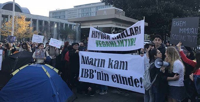 19-12/20/ana-manset-2-1576843002