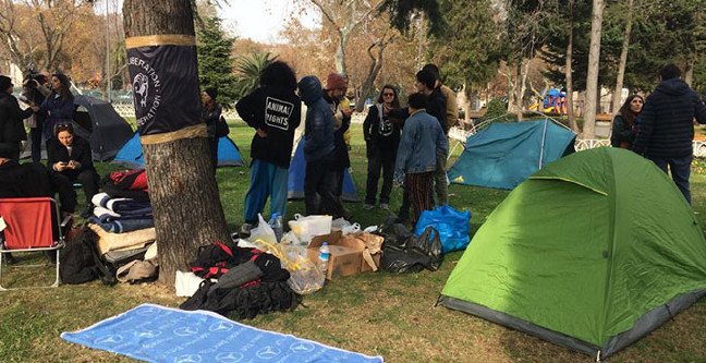 19-12/20/resimid_13945585-1576866749