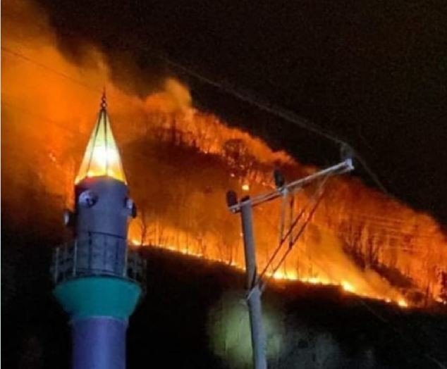 19-12/24/1-1577174547