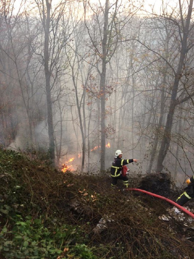 19-12/24/20191224_2_39994846_50626378