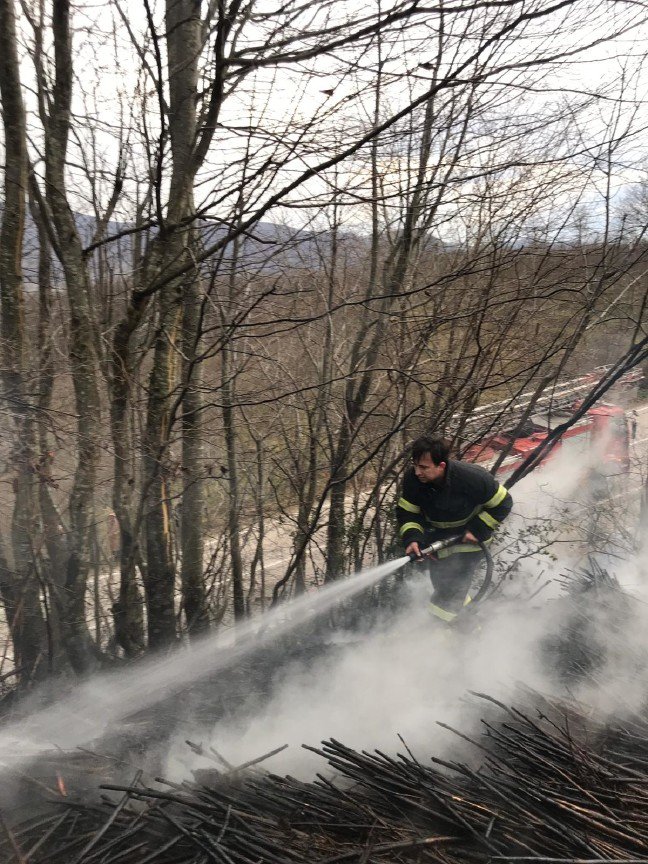 19-12/24/20191224_2_39994846_50626399