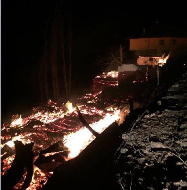 19-12/24/3-1577161629