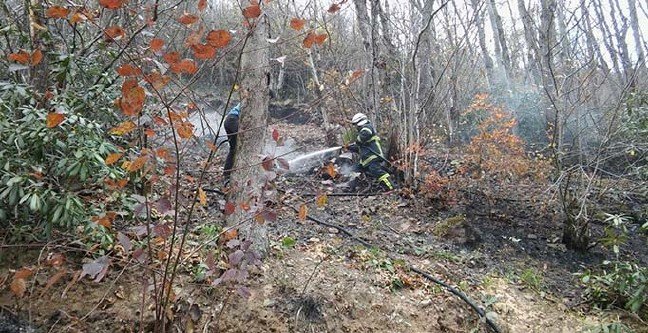 19-12/24/ana-manset-2-1577187192