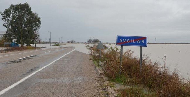 19-12/25/ana-manset-2-1577267223