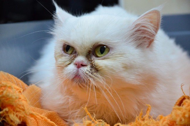 19-12/29/2a8e9a07a6db47eba6b3eb3678d26a5e-1577608063