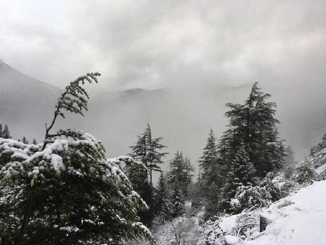 19-12/29/5e08c55d7af5071908b4fd05