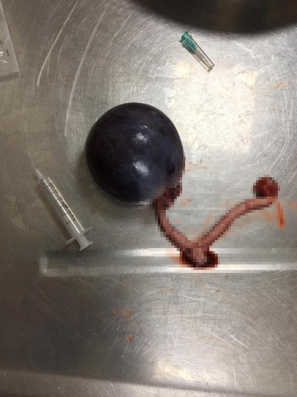 19-12/29/9f74f4e096c4343a8b013587e04248ec-1577608090