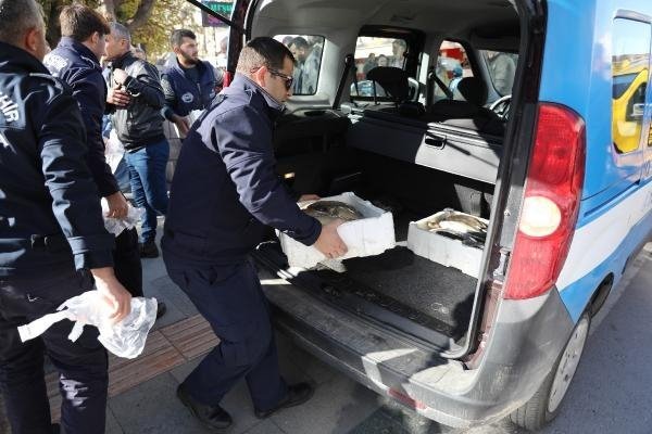 19-12/29/b0ccdc439b4dc55241d9e3e2d3f79b3b-1577601359