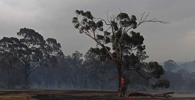 19-12/31/basliksiz-1-1577776065