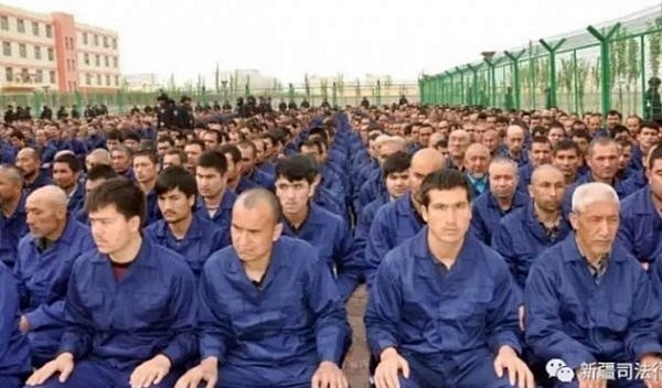 19-12/31/h-7070-n07f