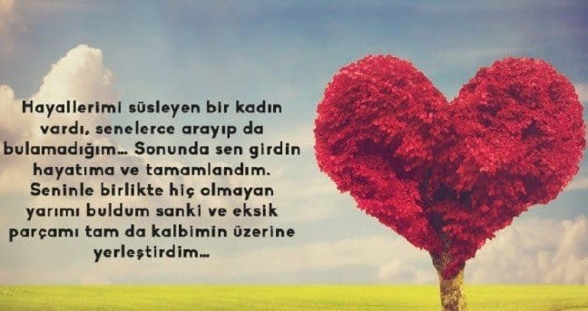 20-01/02/14-subat-2020-3-1577970961