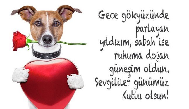 20-01/02/14-subat-5-1577962245