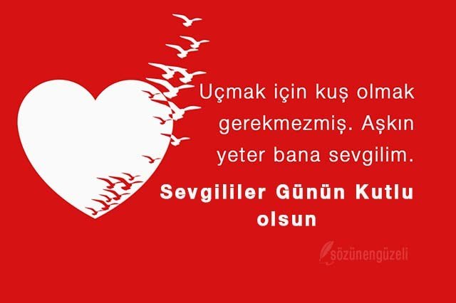 20-01/02/sevgililer-gunu-3