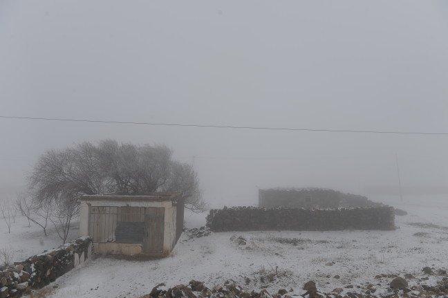 20-01/04/20200104_2_40161434_50916172