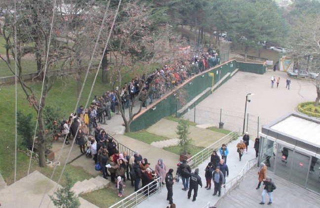 20-01/05/2-1578227060