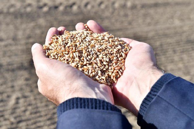 20-01/05/resized_2-1578217822