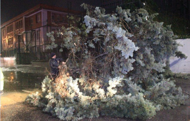 20-01/07/3-1578370963