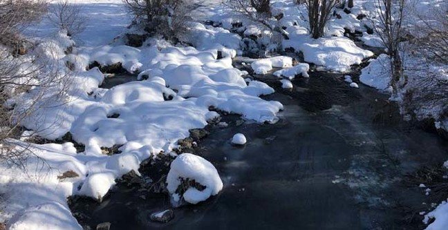 20-01/11/ana-manset-2-1578733453