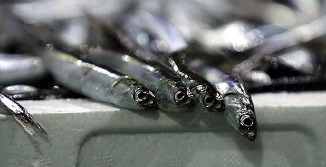 20-01/12/basliksiz-1-1578808719