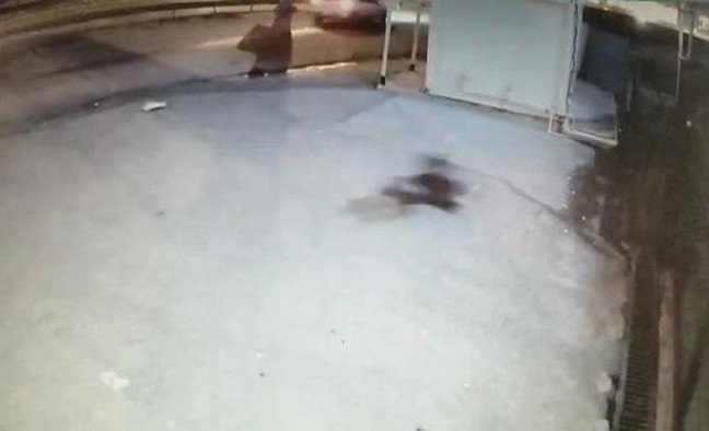 20-01/14/aw907844_05