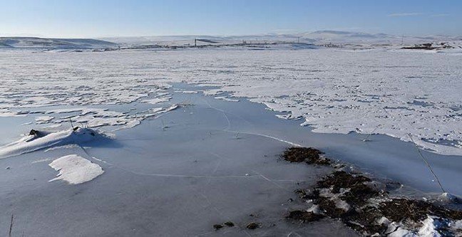 20-01/16/basliksiz-1-1579158640