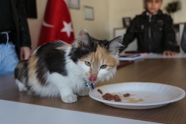 20-01/18/650365ae3216c2556ab5fe30043c2a17-1579329486