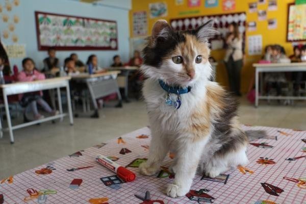 20-01/18/ddf21433f6d3f66d0e2b84b972bfb684-1579329525